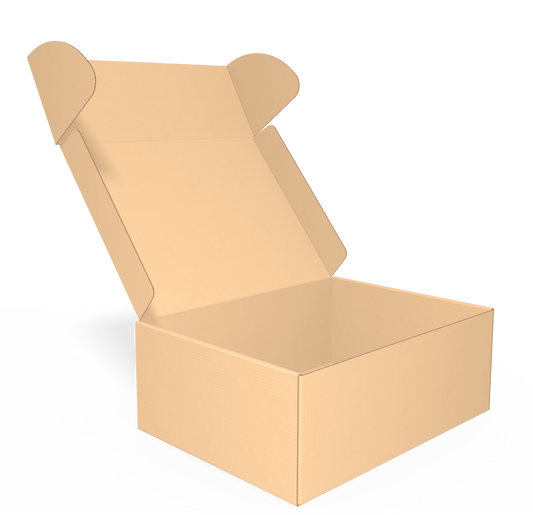 Caja tamaño 22x16x8 cm