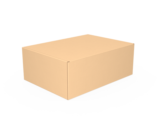 Caja tamaño 22x16x8 cm