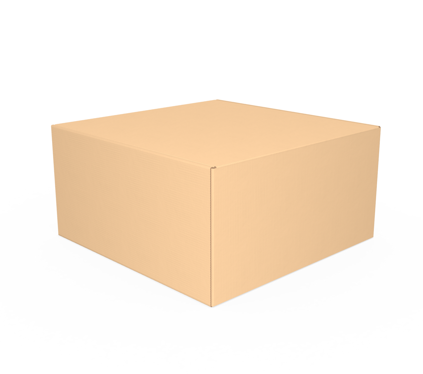 Caja tamaño 24x24x12 cm
