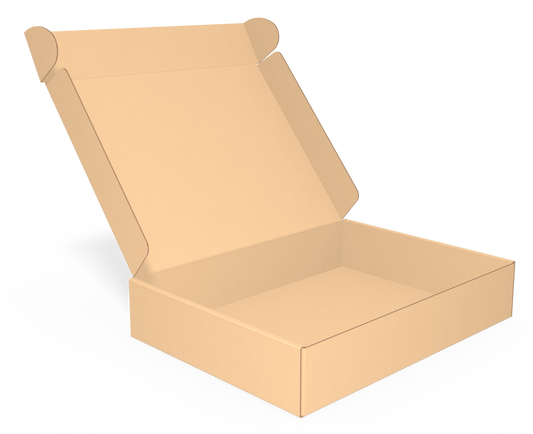 Caja tamaño 22x16x4 cm