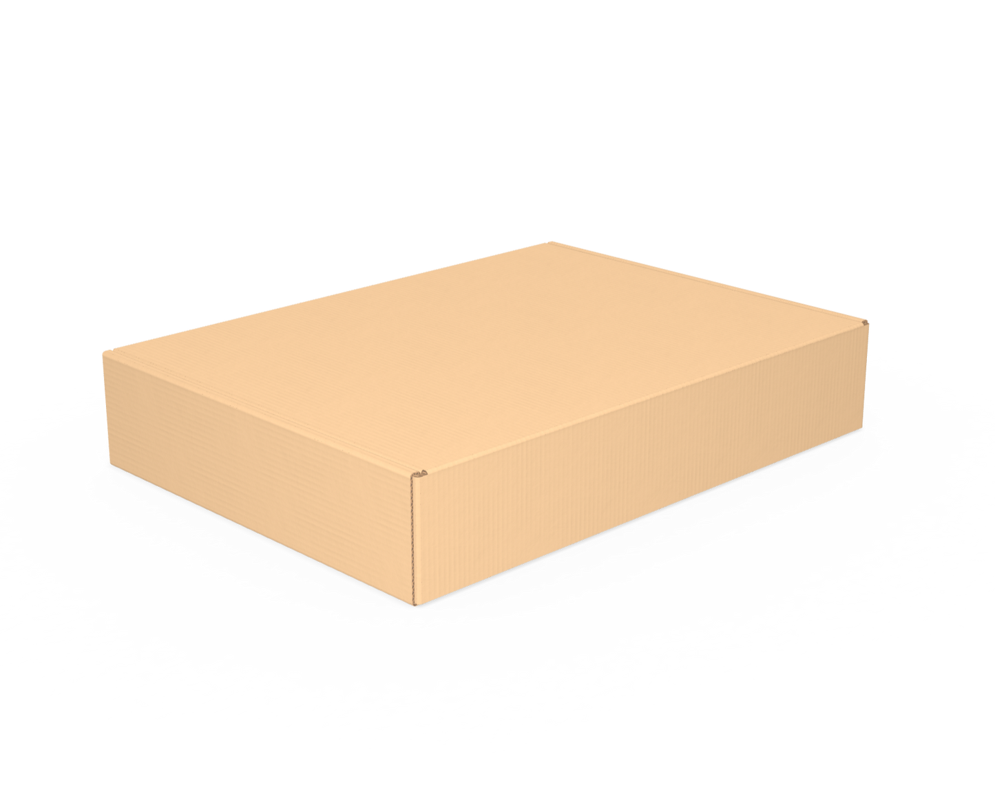 Caja tamaño 22x16x4 cm