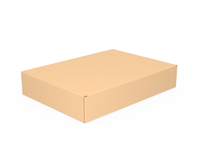 Caja tamaño 22x16x4 cm