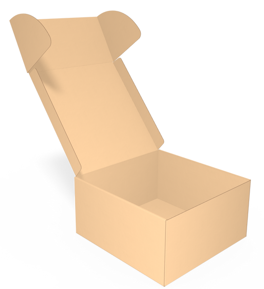 Caja tamaño 24x24x12 cm